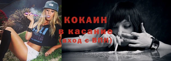 шишки Баксан
