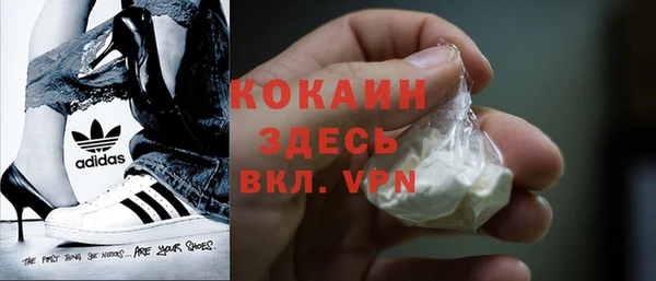 шишки Баксан