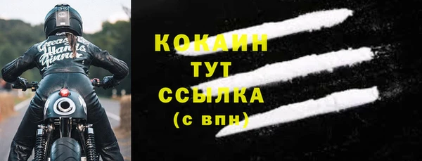 шишки Баксан