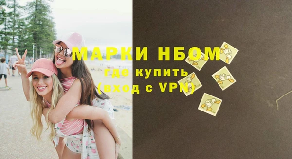 шишки Баксан