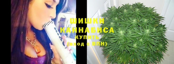 трава Балахна