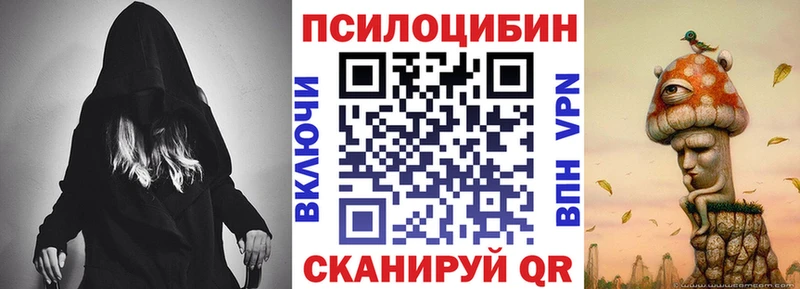 Псилоцибиновые грибы Psilocybine cubensis  Курильск 